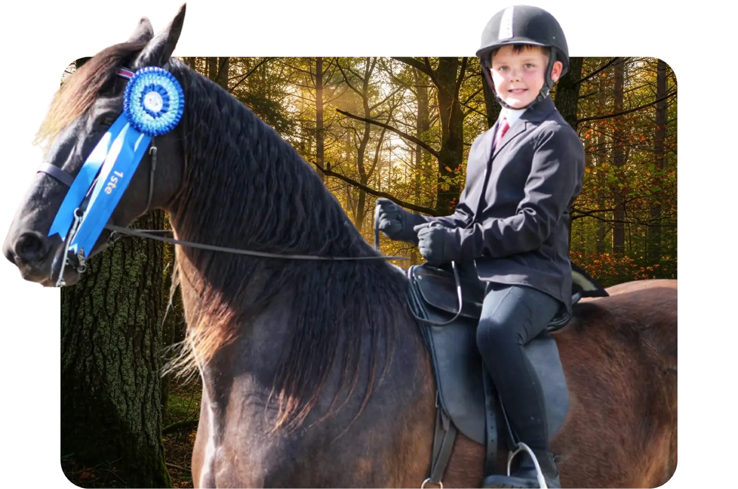 Wikus Radyn